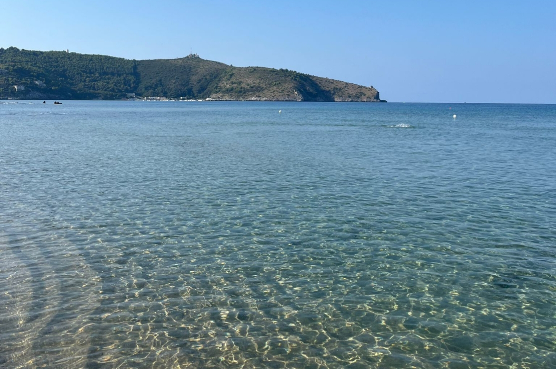 Mare cristallino con vista su una collina verde, cielo sereno e limpido.