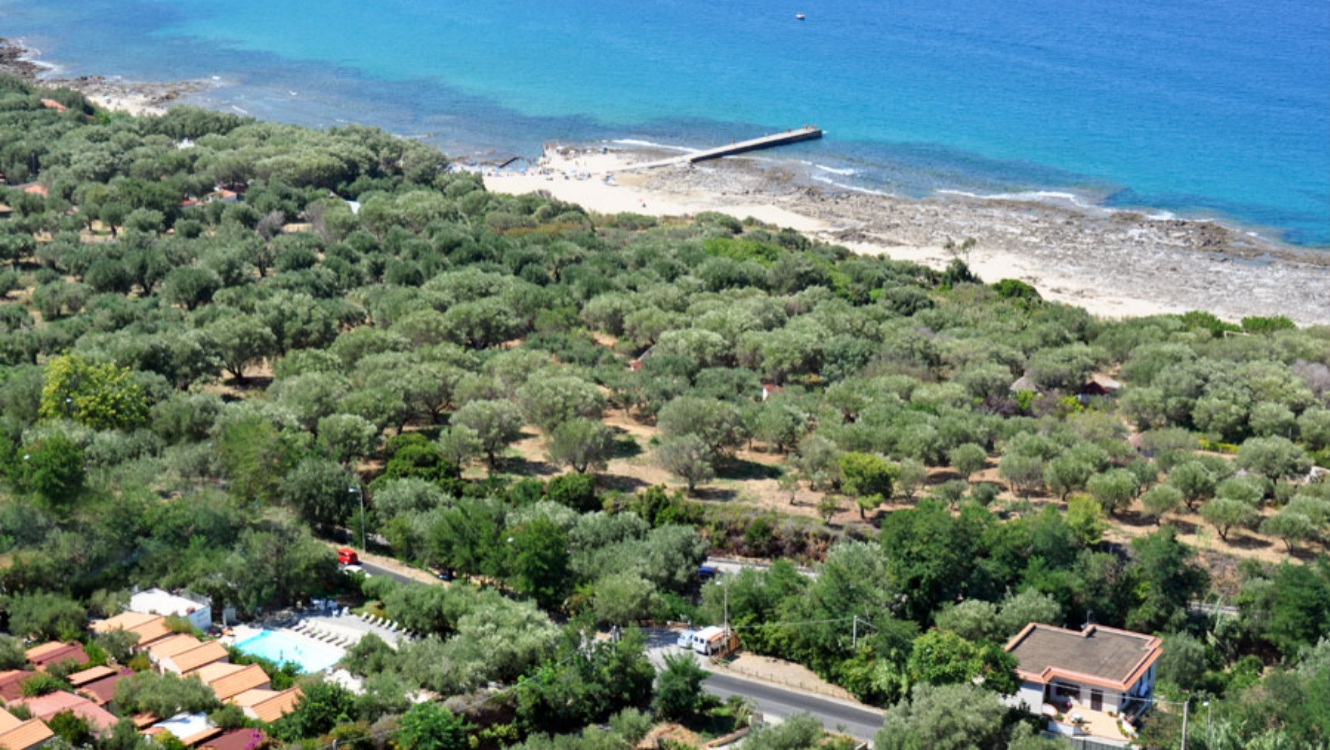 Vista aerea di un paesaggio costiero con uliveti e mare cristallino.