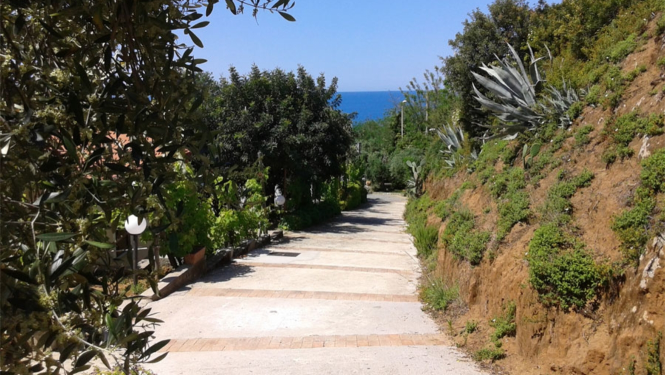 Sentiero tra piante e alberi con vista mare sullo sfondo.