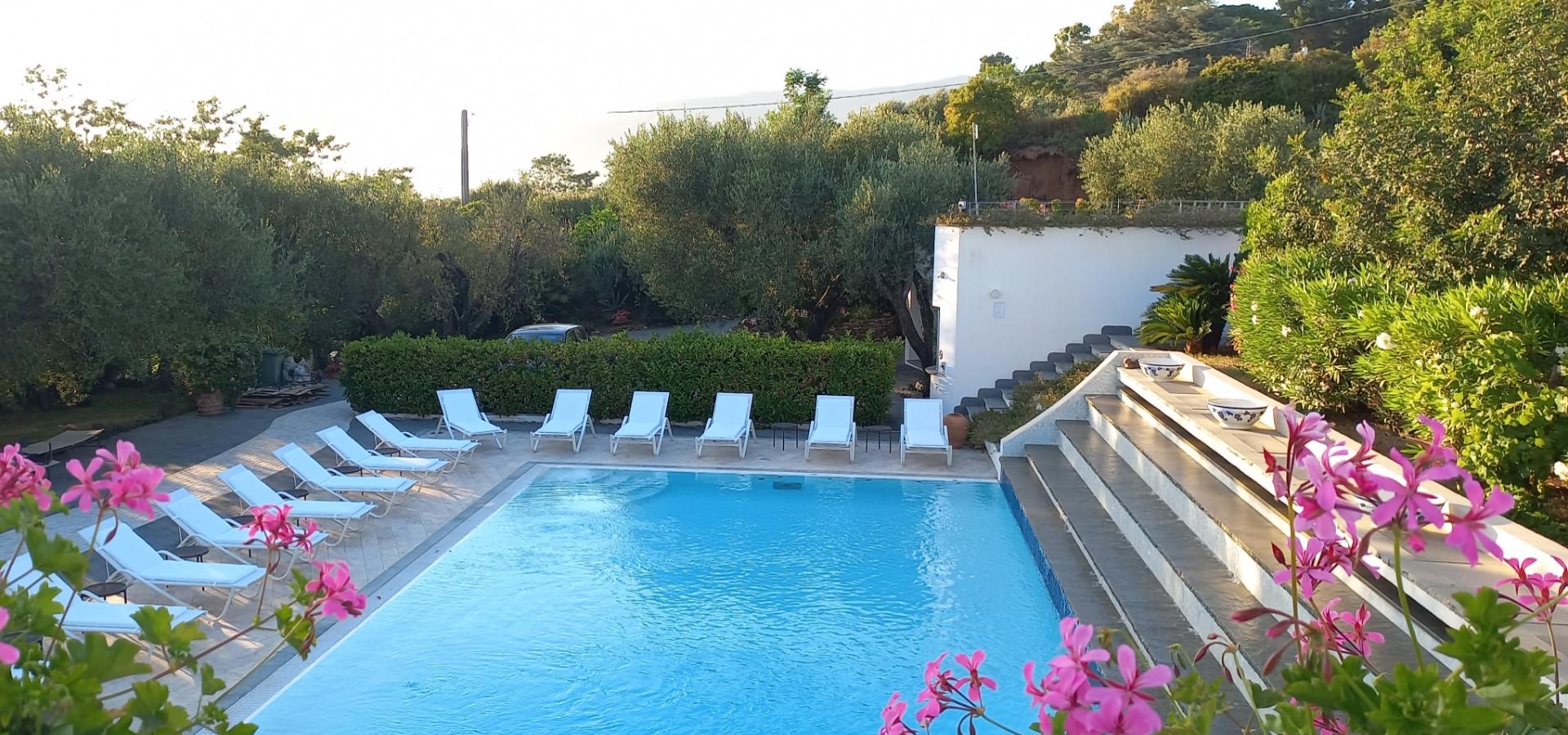 Piscina con lettini bianchi, circondata da natura rigogliosa e fiori rosa.