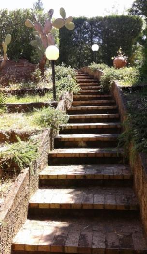 Scalinata in giardino con cactus e lampioni, circondata da vegetazione.