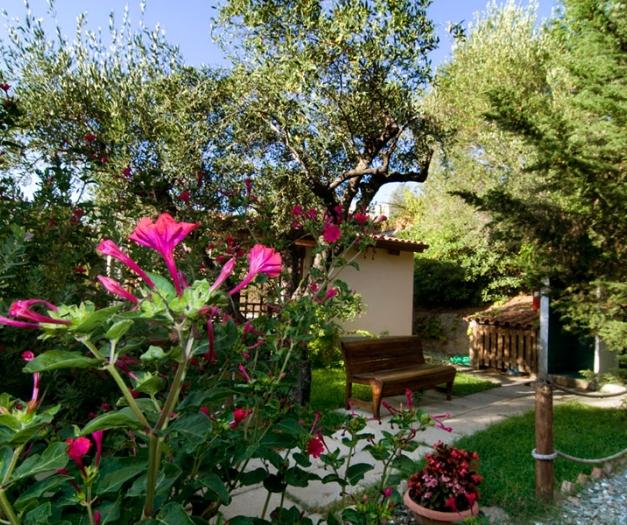 Giardino con fiori rosa, panchina e piccola casetta tra gli alberi.