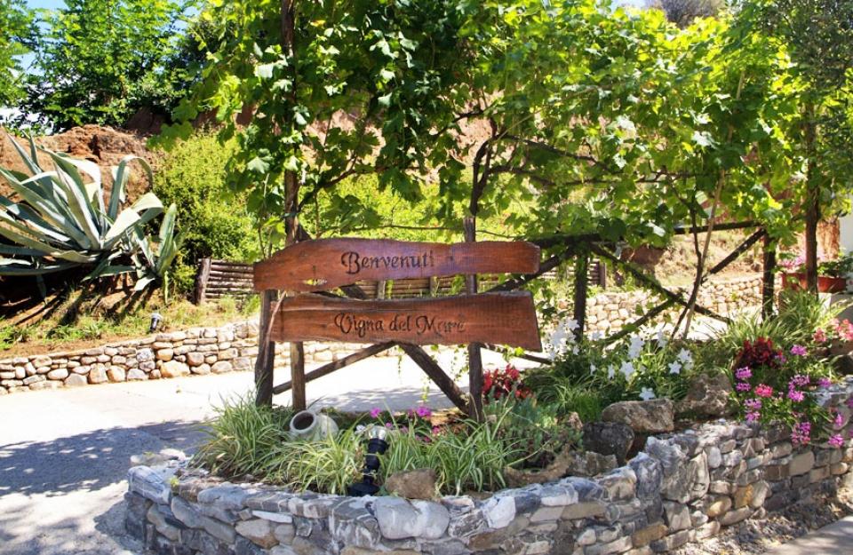 Ingresso accogliente con cartello 'Benvenuti' e giardino fiorito, circondato da vigneti.