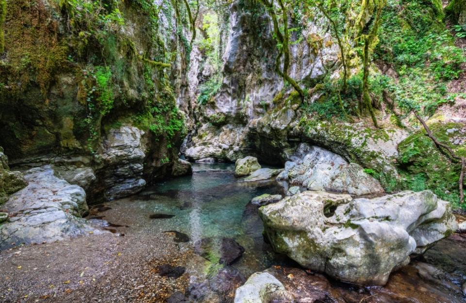 Un ruscello cristallino attraversa una gola verde e rocciosa, immersa nella natura.